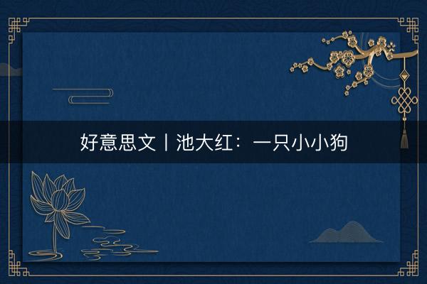 好意思文丨池大红：一只小小狗